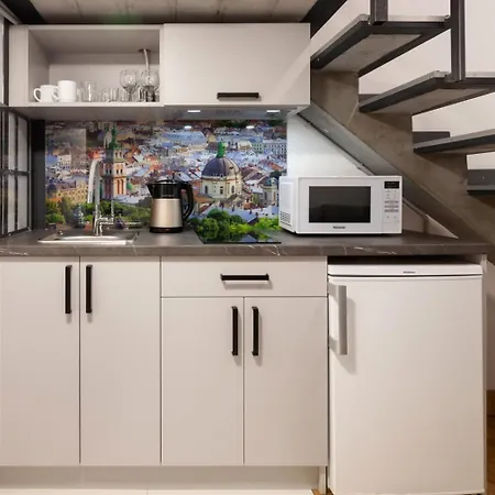 公寓 Royal Mini On Kovzhyna 利沃夫