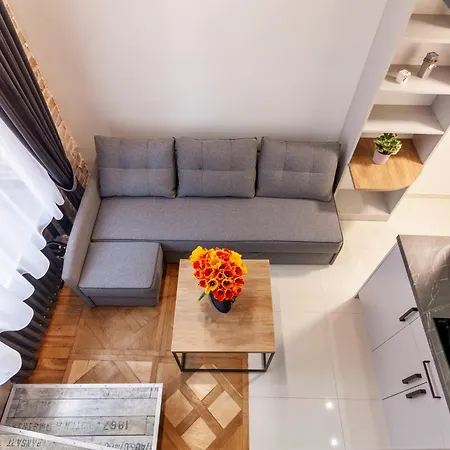 Royal Mini On Kovzhyna 公寓 *