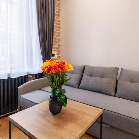 Royal Mini On Kovzhyna * 利沃夫