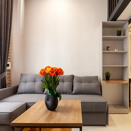 Royal Mini On Kovzhyna 公寓