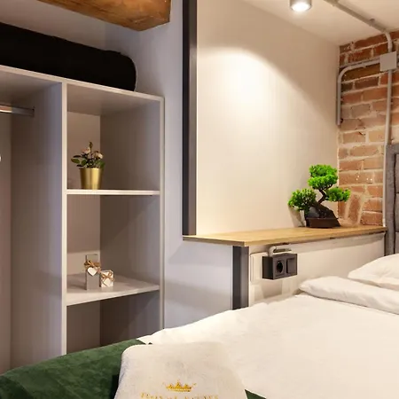 公寓 Royal Mini On Kovzhyna 利沃夫