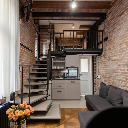 Royal Mini On Kovzhyna 利沃夫